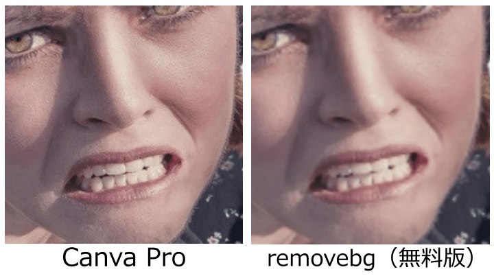 Canva Proとremovebgの画像品質の違い